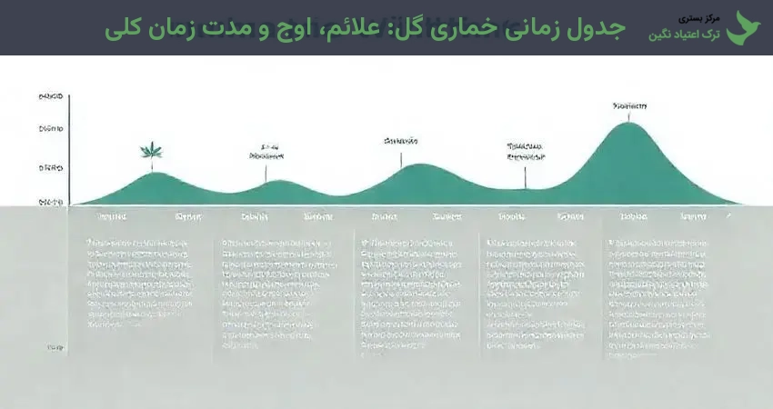 جدول زمانی خماری گل: علائم، اوج و مدت زمان کلی