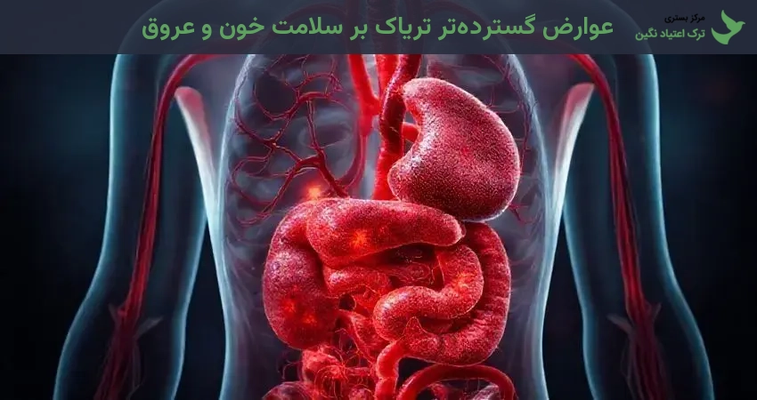 عوارض گسترده‌تر تریاک بر سلامت خون و عروق