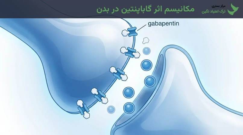 مکانیسم اثر گاباپنتین در بدن