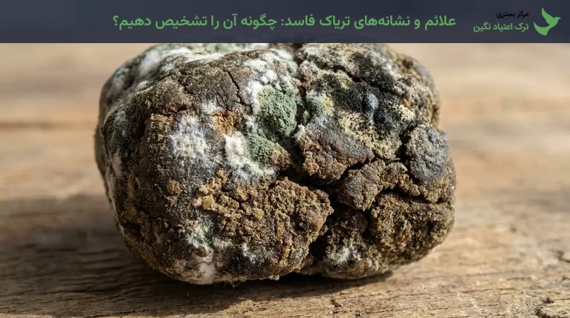 علائم و نشانه‌های تریاک فاسد: چگونه آن را تشخیص دهیم؟