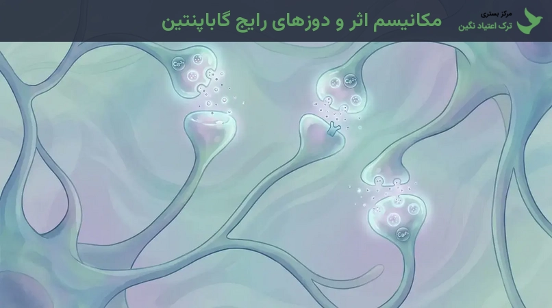 مکانیسم اثر و دوزهای رایج گاباپنتین