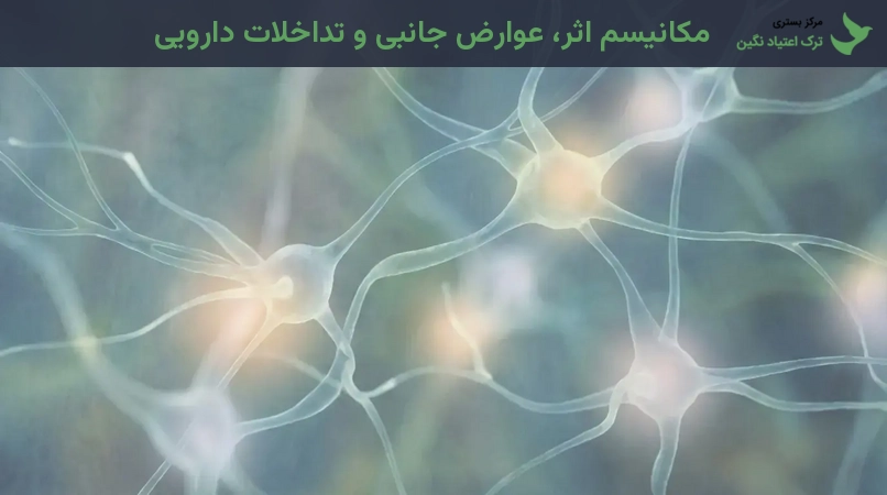 مکانیسم اثر، عوارض جانبی و تداخلات دارویی