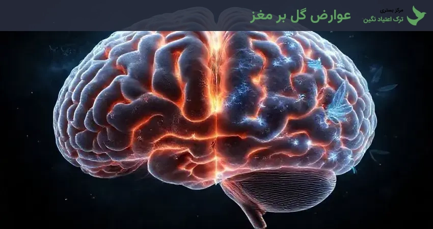 عوارض گل بر مغز