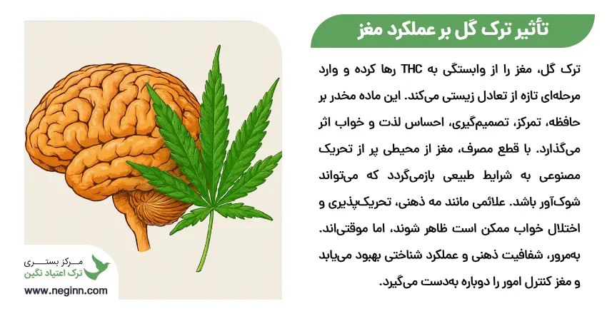 تأثیر ترک گل بر عملکرد مغز