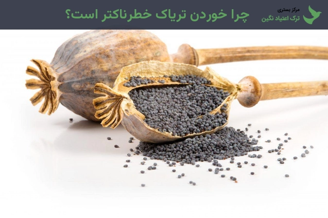 چرا خوردن تریاک خطرناکتر است؟