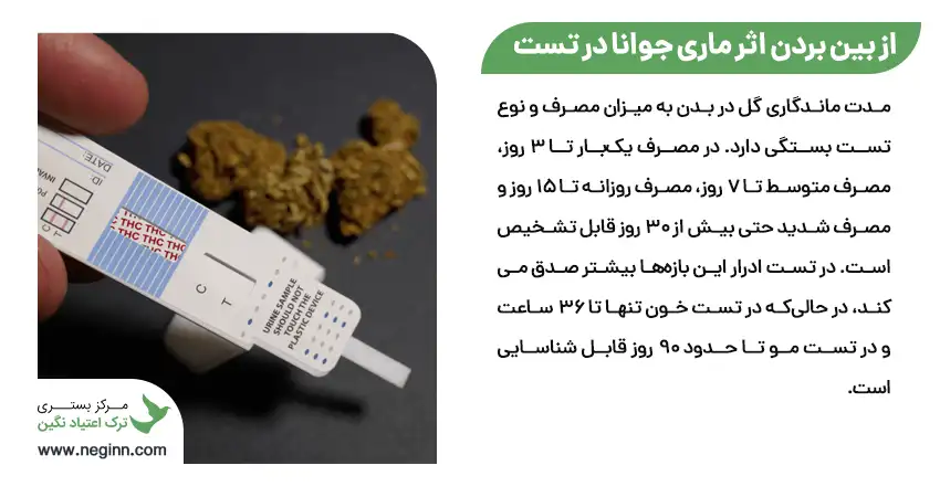 از بین بردن اثر ماری جوانا در تست اعتیاد
