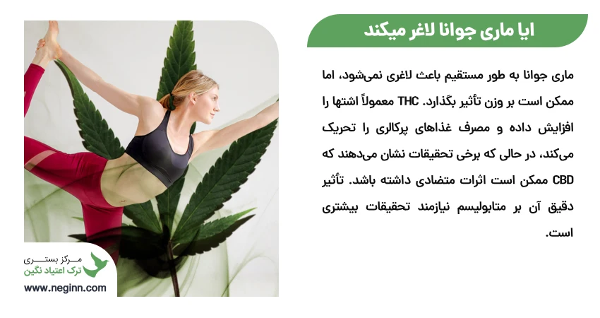 ایا ماری جوانا لاغر میکند 