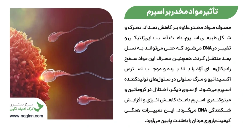 drugs affect sperm 4