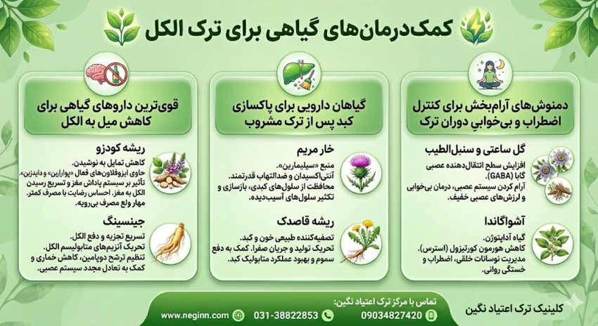 herbal medicine for alcoholism 03