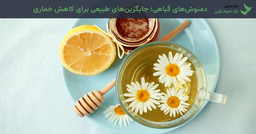 دمنوش های گیاهی؛ جایگزین های طبیعی برای کاهش خماری