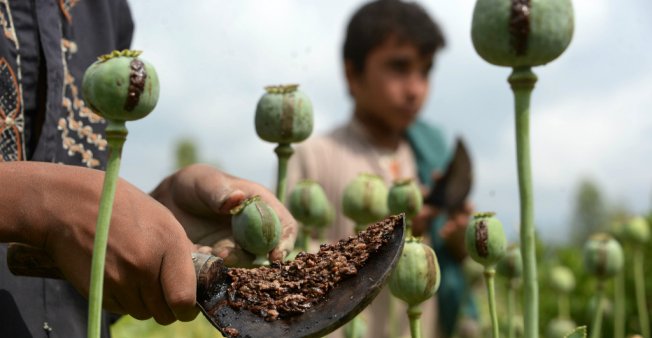 تریاک افغانستان