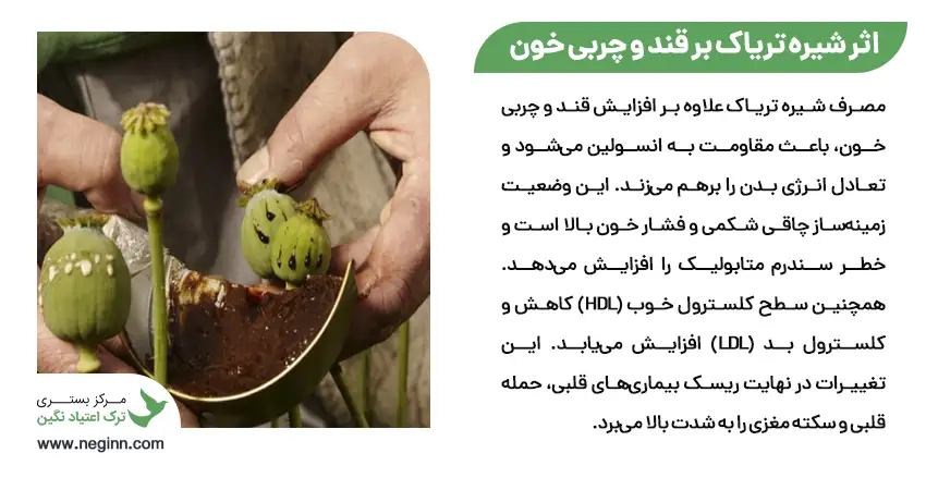 اثر شیره تریاک بر قند و چربی خون