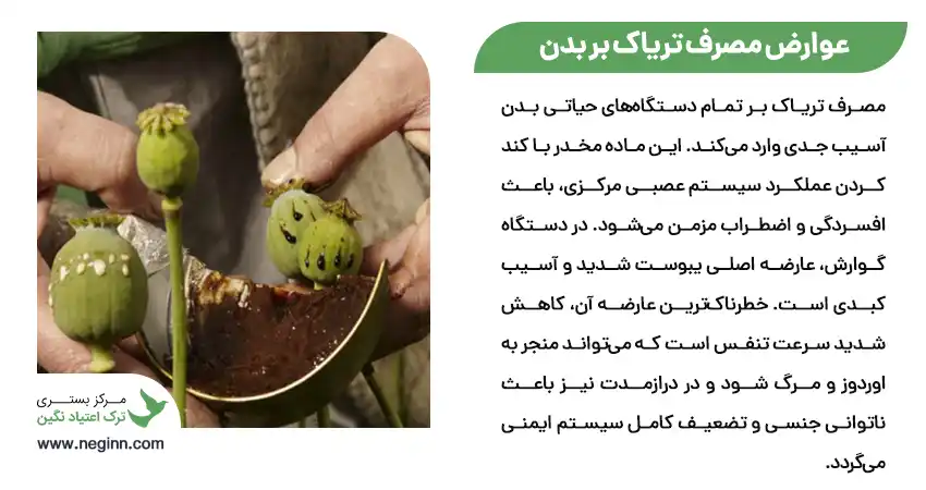 عوارض مصرف تریاک بر بدن و روان