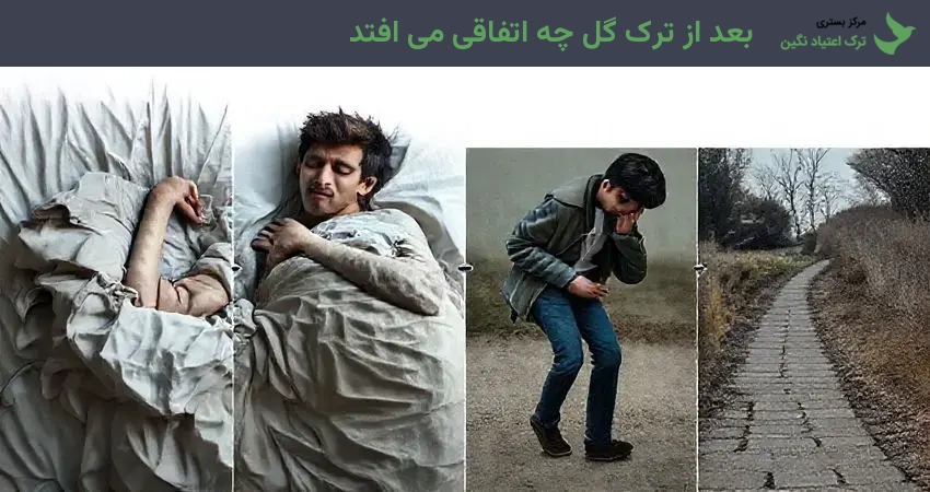 بعد از ترک گل چه اتفاقی می افتد