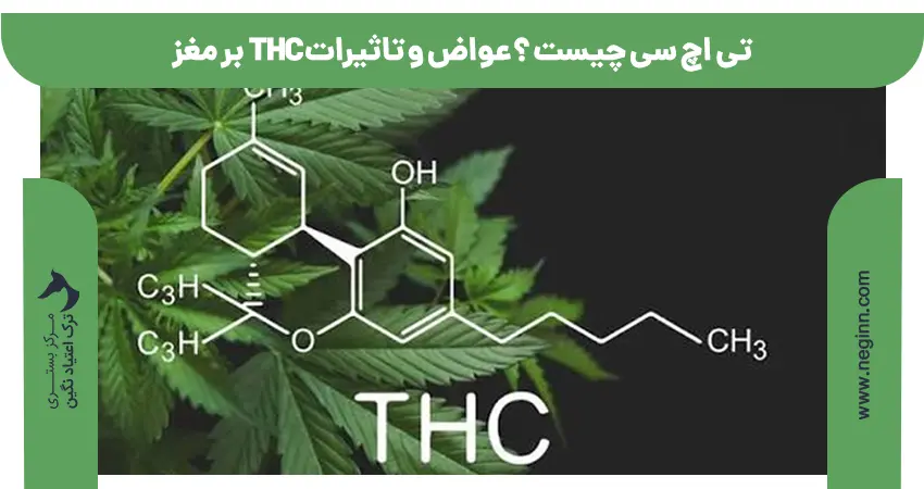 تی اچ سی چیست ؟ عواض و تاثیرات THC بر مغز