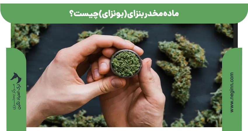 ماده مخدر بنزای (بونزای) چیست؟ 