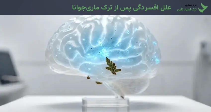 علل افسردگی پس از ترک ماری‌جوانا