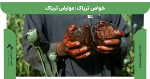خواص تریاک | عوارض تریاک