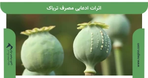 اثرات ادعایی مصرف تریاک