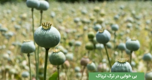 بی خوابی در ترک تریاک