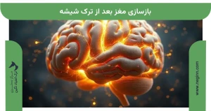 بازسازی مغز بعد از ترک شیشه