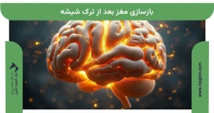 بازسازی مغز بعد از ترک شیشه