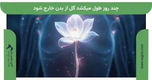 چند روز طول میکشد گل از بدن خارج شود