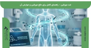 ضد مورفین – راهنمای کامل برای دفع مورفین و عوارض آن