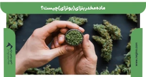ماده مخدر بنزای (بونزای) چیست؟ 