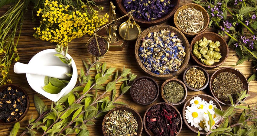 داروی گیاهی برای ترک اعتیاد شیشه