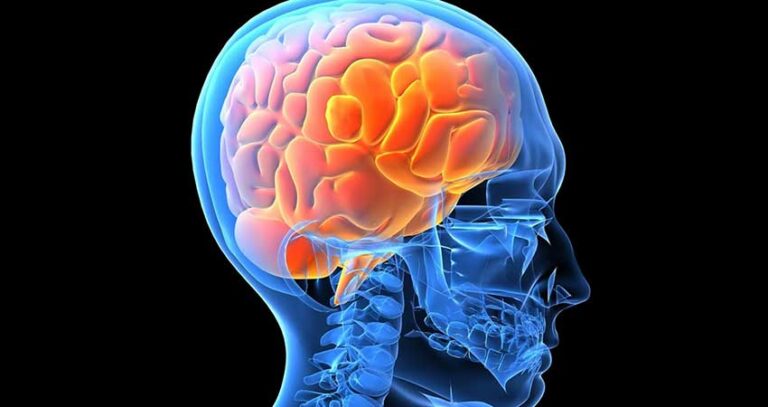 اعتیاد چه تاثیری بر مغز می گذارد ؟