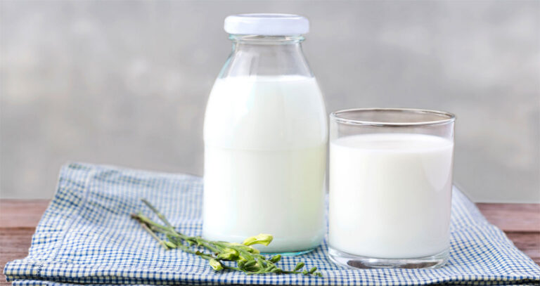 نقش شیر برای ترک اعتیاد؛ آیا شیر اثر متادون را از بین می‌برد؟