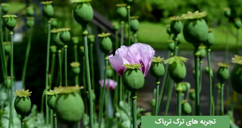 تجربه معتادان ترک کرده