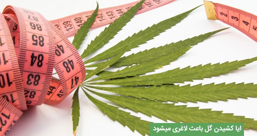 ایا کشیدن گل باعث لاغری میشود؟