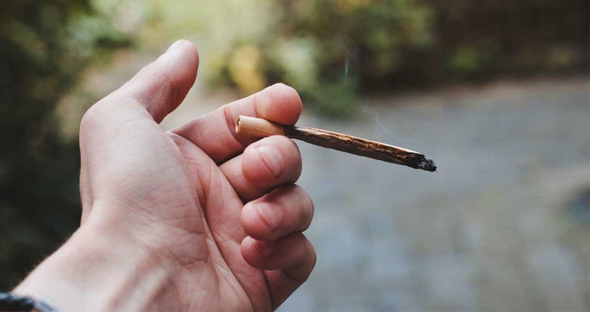 «گل» یک نوع ماده مخدر فوق العاده خطرناک