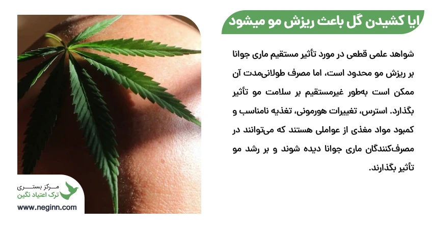 ایا کشیدن گل باعث ریزش مو میشود