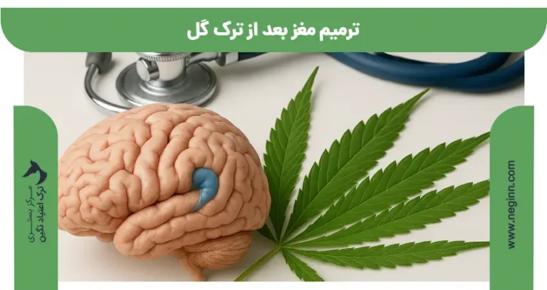 ترمیم مغز بعد از ترک گل