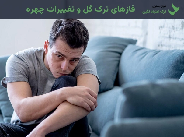 فازهای ترک گل و تغییرات چهره