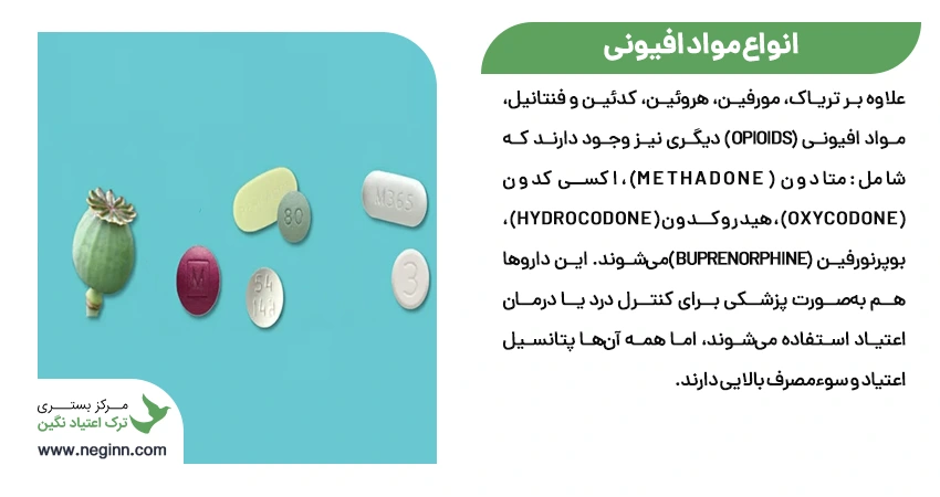 انواع مواد افیونی و مهمترین مواد افیونی