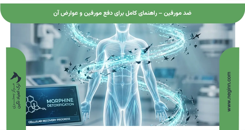 ضد مورفین – راهنمای کامل برای دفع مورفین و عوارض آن