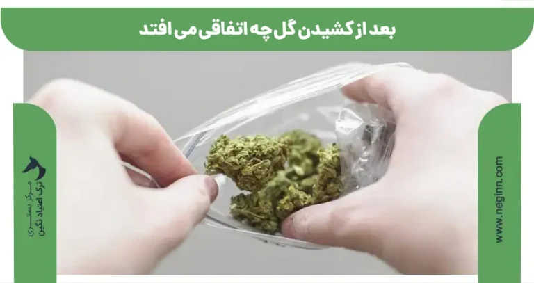 بعد از کشیدن گل چه اتفاقی می افتد